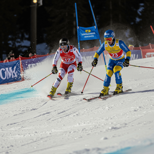 Freestyle Skiing Men's Dual Moguls Final OFRS09 Winter Games 2026