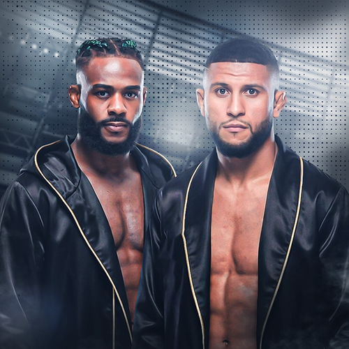 Aljamain Sterling vs Youssef Zalal UFC Fight Night