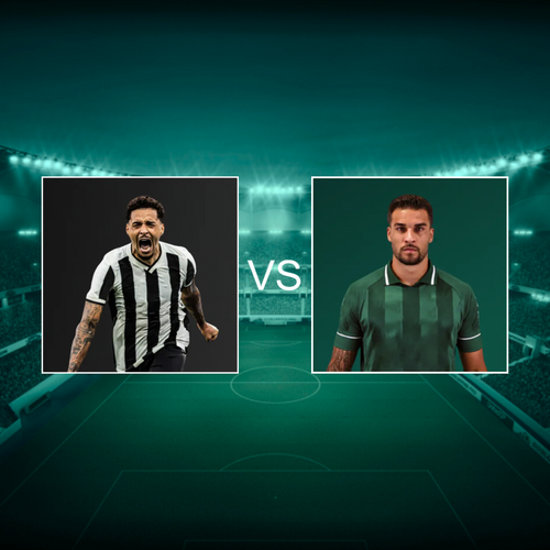 Botafogo de Futebol e Regatas vs Associação Chapecoense de Futebol Brazilian Cup