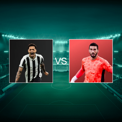 Botafogo de Futebol e Regatas vs Red Bull Bragantino Campeonato Brasileiro Série A