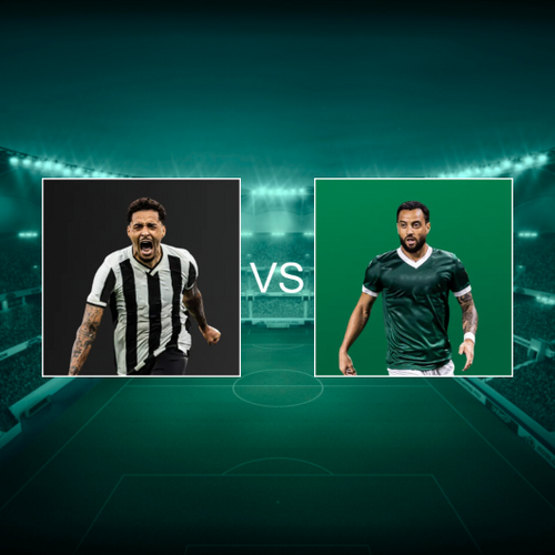 Botafogo de Futebol e Regatas vs Sociedade Esportiva Palmeiras Campeonato Brasileiro Série A