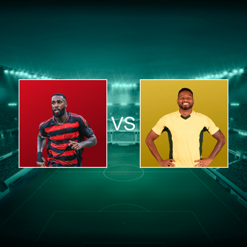 Clube de Regatas do Flamengo vs Mirassol Futebol Clube Campeonato Brasileiro Série A