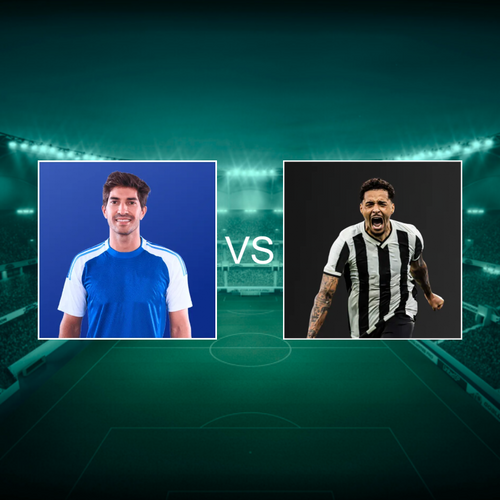 Cruzeiro Esporte Clube vs Botafogo de Futebol e Regatas Campeonato Brasileiro Série A