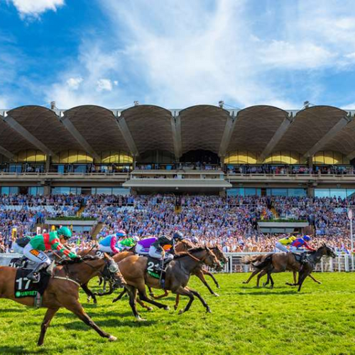 Tuesday Ticket Qatar Goodwood Festival
