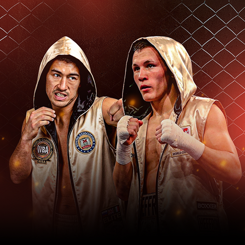 Dmitry Bivol vs Michael Eifert