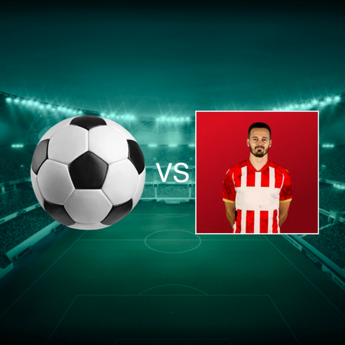 FK Zemun vs FK Crvena zvezda Serbian SuperLiga