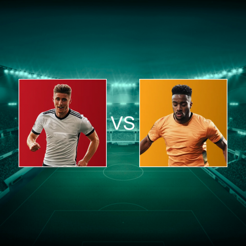 Fulham FC vs Wolverhampton Wanderers FC Premier League