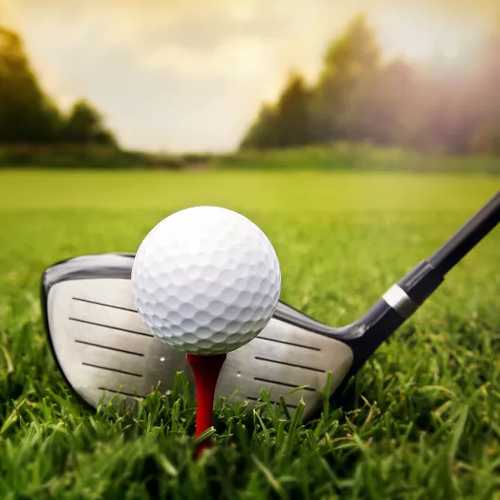 Golf GLF06 Summer Games 2028