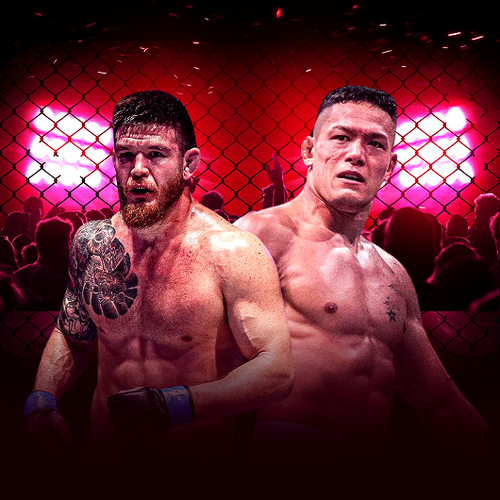 Johnny Eblen vs Costello van Steenis MMA Fighting