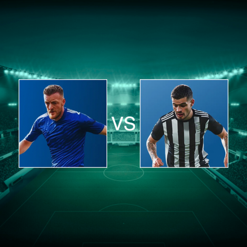 Leicester City FC vs Newcastle United FC 2024-2025 Premier League