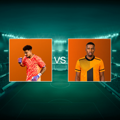 Mamelodi Sundowns FC vs Polokwane City F.C. South African Premiership