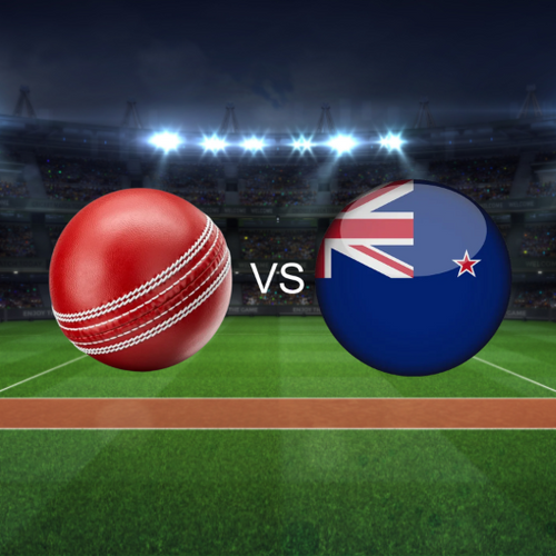 Match 53 TBD vs New Zealand Semi Final Men's T20 World Cup