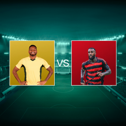 Mirassol Futebol Clube vs Clube de Regatas do Flamengo Campeonato Brasileiro Série A