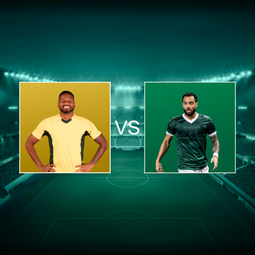 Mirassol Futebol Clube vs Sociedade Esportiva Palmeiras Campeonato Brasileiro Série A