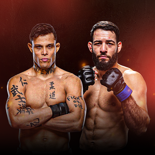 Nassourdine Imavov vs Caio Borralho UFC Fight Night