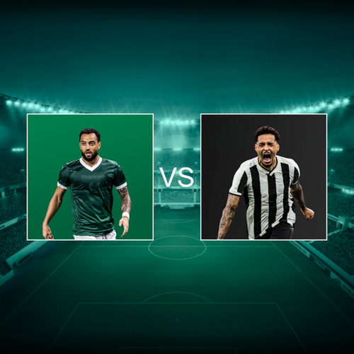 Sociedade Esportiva Palmeiras vs Botafogo de Futebol e Regatas Campeonato Brasileiro Série A