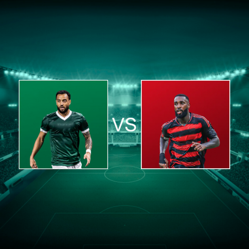 Sociedade Esportiva Palmeiras vs Clube de Regatas do Flamengo Final CONMEBOL Libertadores