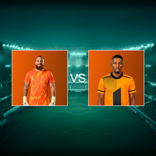 Stellenbosch FC vs Polokwane City F.C. South African Premiership