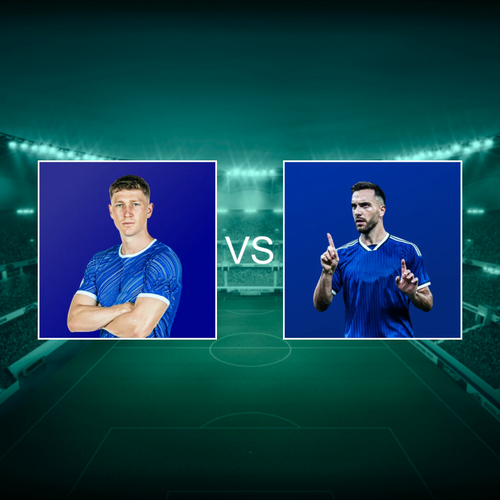 SV Darmstadt 98 vs FC Schalke 04 DFB Pokal