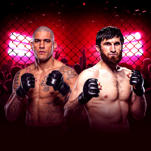 Alex Pereira vs Magomed Ankalaev UFC 313