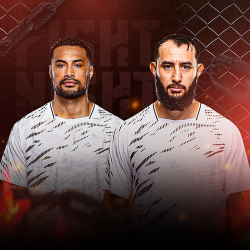 Carlos Ulberg vs Dominick Reyes UFC Fight Night