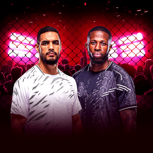 Gabriel Bonfim vs Randy Brown UFC Fight Night