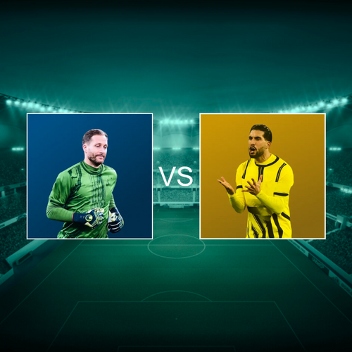 TSG 1899 Hoffenheim vs Borussia Dortmund 2024-2025 Bundesliga