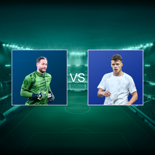 TSG 1899 Hoffenheim vs SV Elversberg Bundesliga