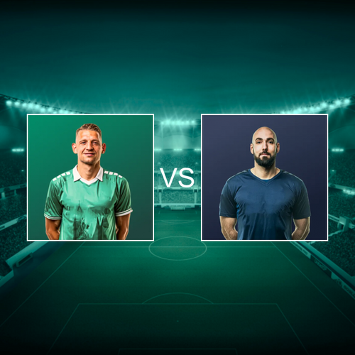Viborg FF vs AC Horsens Danish Superliga