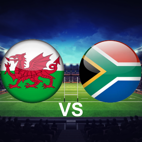 Wales vs South Africa Autumn Nations Series