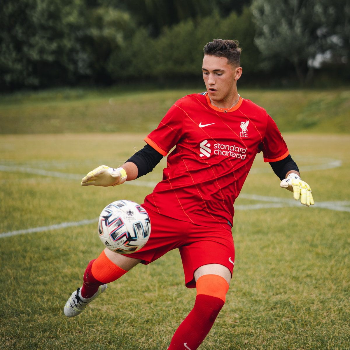 Match 12 Group F Football World Cup 2026