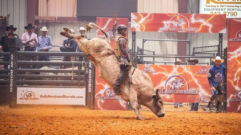Bulls Bands And Barrels