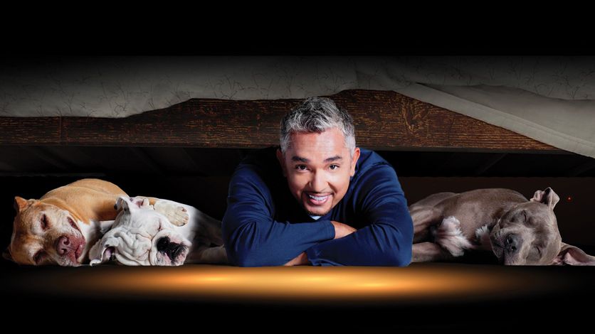 Cesar Millan