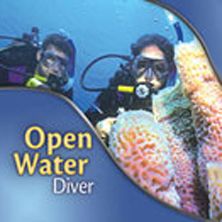 Tauchkurs Open-Water-Diver - STMK - Tauchturm Seiersberg