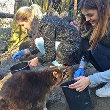 Tierpfleger im Zoo