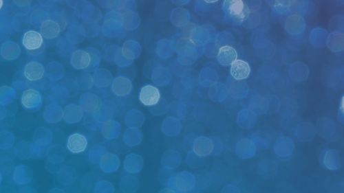 Legendary - Bon Jovi Tribute (Formerly Slippery When Wet)