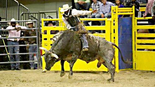 Gulf Coast Black Rodeo