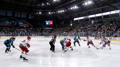 Belfast Giants Polo
