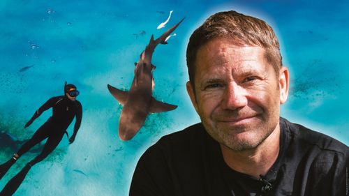 Steve Backshall