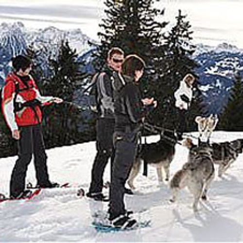 Tierisches Schneeschuhwandern | mit Husky-Begleitung