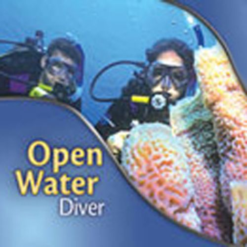 Tauchkurs Open-Water-Diver - STMK - Tauchturm Seiersberg