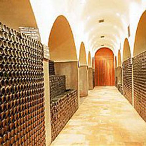 Das 1x1 der Weinverkostung