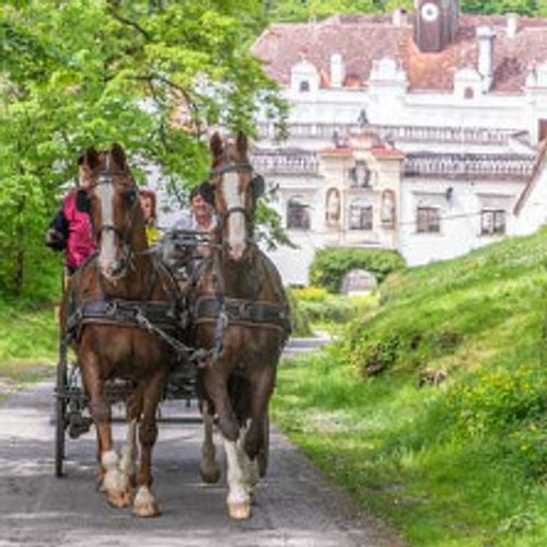 Der Schlosskutscher - Turteltaubentour - STMK