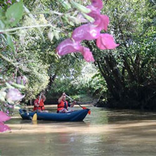 Kanu Tour | geführte Tour für 2 am Donau-Marchfeldkanal