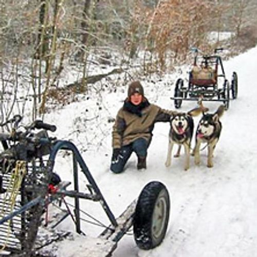 Schlittenhunde Workshop | mit Hundeschlittentour | 4 Std