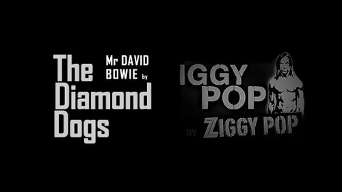 Diamond Dogs