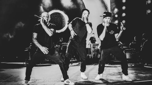 Die Fantastischen Vier